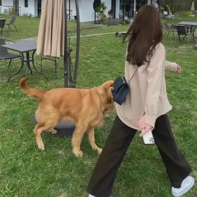 拇指姑娘